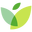 ivywise.com