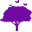 jacarandafoundation.org
