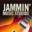 jaminlessons.com