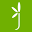 jardinjasmin.com