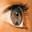 jardinoscope.canalblog.com