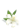 jasminsms.com