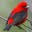 javabirder.wordpress.com