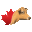 jerseycanada.com