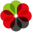 jia.org.jo