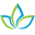 jivahealth.com