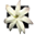 jm.com.py