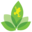 joshsfrogs.com