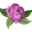 juneflowers.ae
