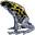 junglehobbies.com