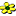 justflowers.com