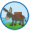 kabassi.com