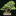 kaizenbonsai.com