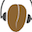 kaldi-asr.org
