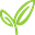 karo.co.nz
