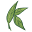 katsbotanicals.com