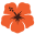 kauaikookie.com