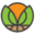 kccg.org