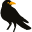 kidega.com