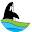 killerwhalemuseum.com.au