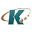 kineticsolution.com