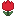 kiscicek.com