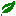 kitenet.net