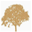 klasahsap.com