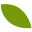 knea.org