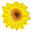 knospe-aba.com