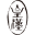 kohkan.co.jp