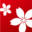 kosotto.info