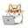 kota6.com