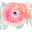 kozyandco.com