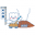 kuma8020.com