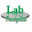 labinsightsllc.com