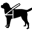 labradoor.pl