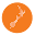 labtests.co.nz
