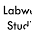 labwearstudios.com