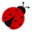 lacoccinellamerceria.com