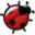 ladybugplanet.com