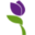 laflora.pl