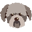 lagottogrooming.com