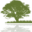 lakedevonnursery.com.au