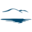 lakemoreyresort.com