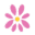 laladaisy.com