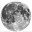 lander.media