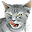 langue-au-chat.fr
