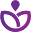 lantanaashop.com