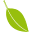 leaf-schmuck.de